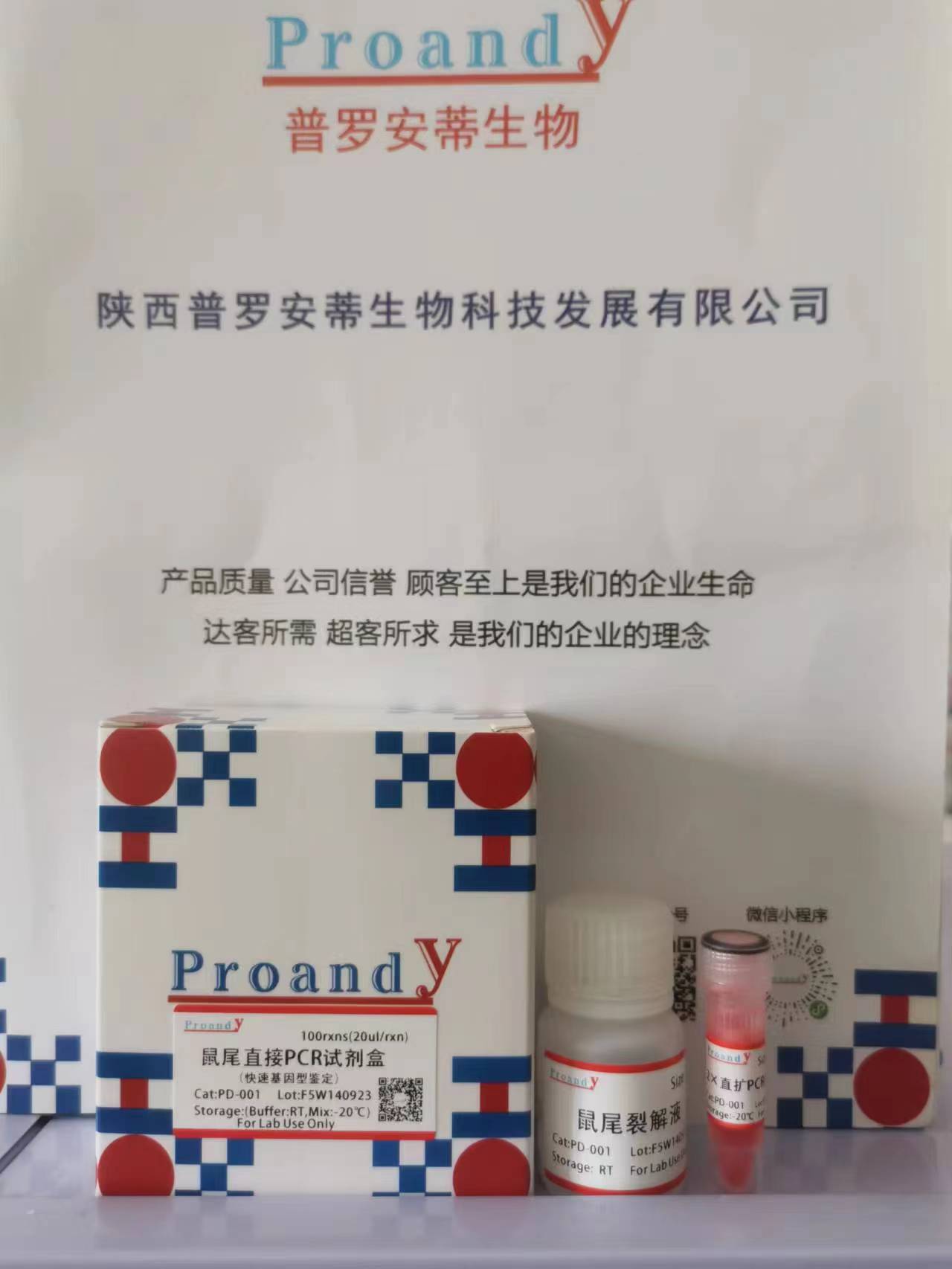 1695866190695103.jpg 鼠尾直擴(kuò)PCR.jpg