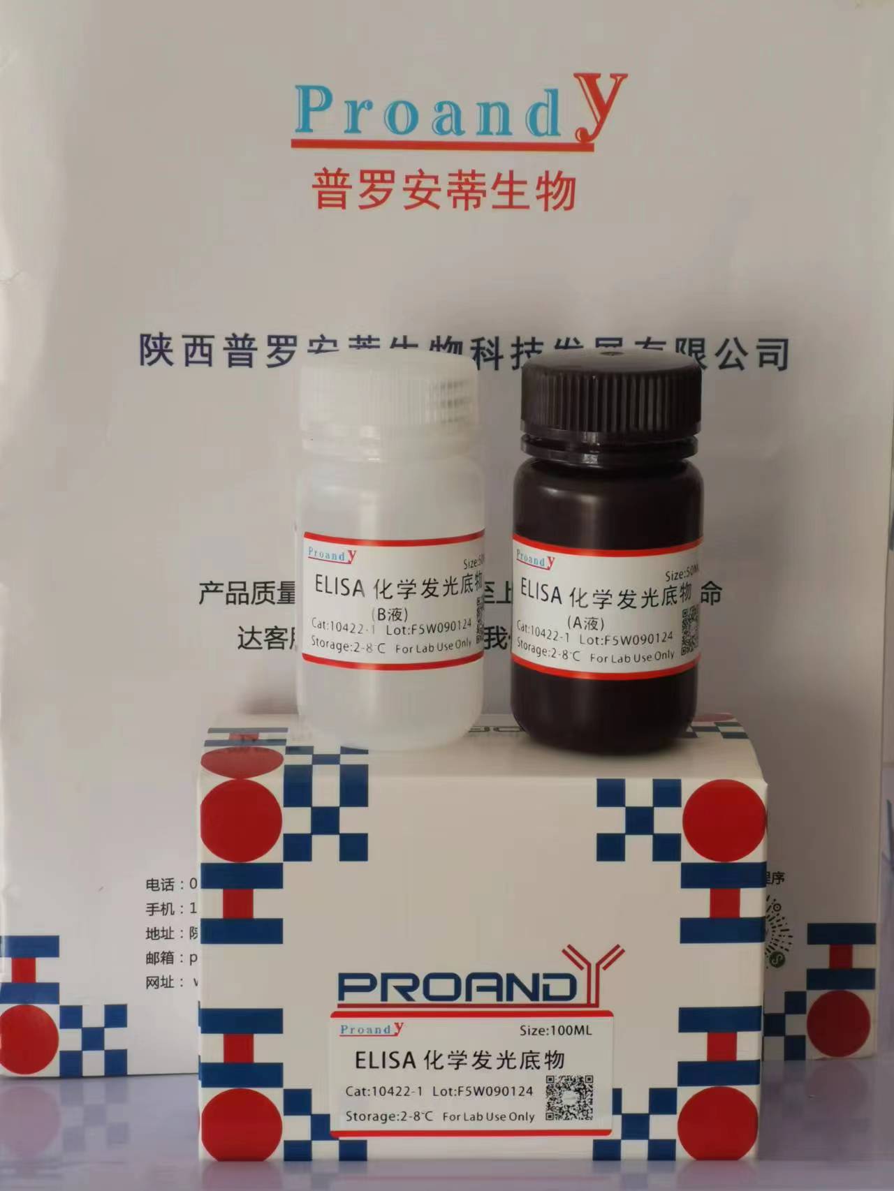 1704788168155680.jpg Elisa  ECL.jpg