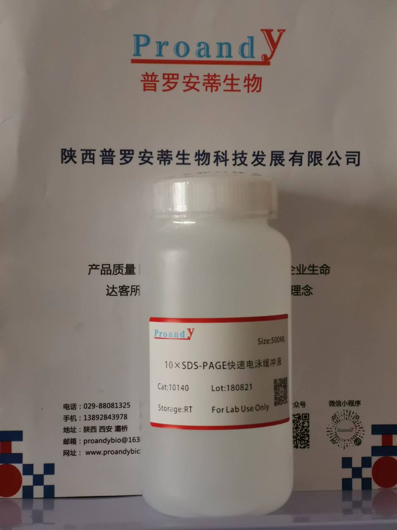 1709196410888344.jpg 10xsds-page快速電泳液.jpg