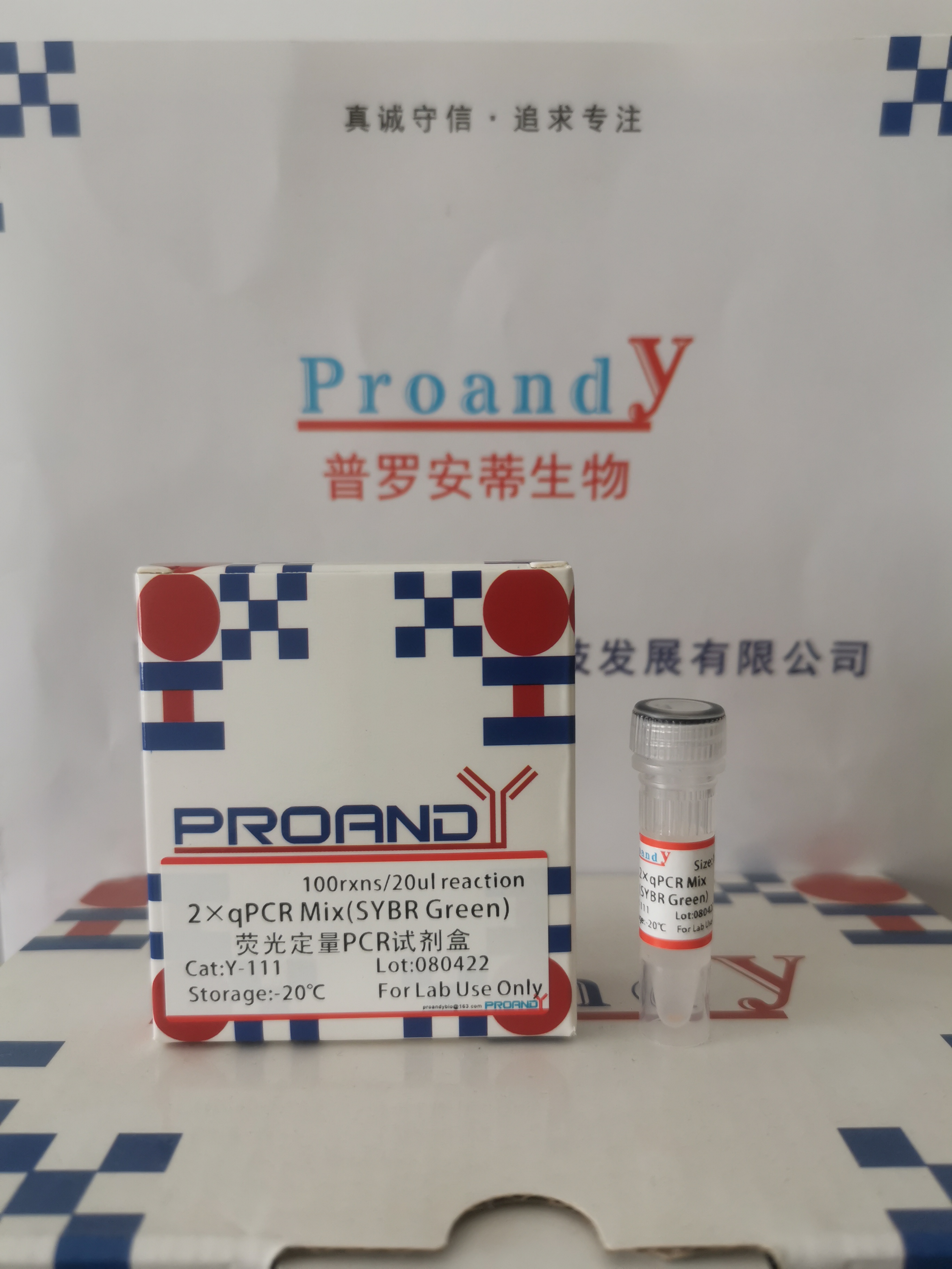 1713848868965290.jpg 熒光定量(無(wú)ROX).jpg